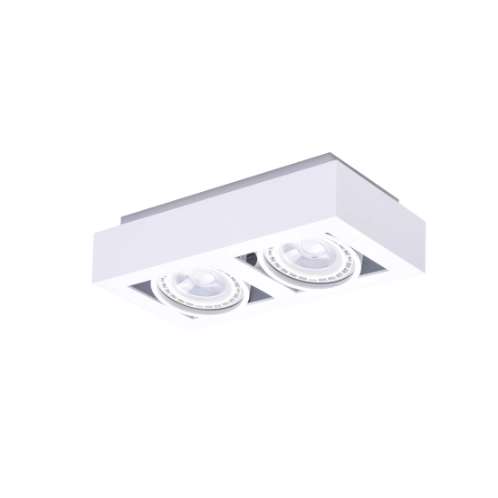 Biały, podwójny downlight, reflektor z ruchomymi oczkami, do holu