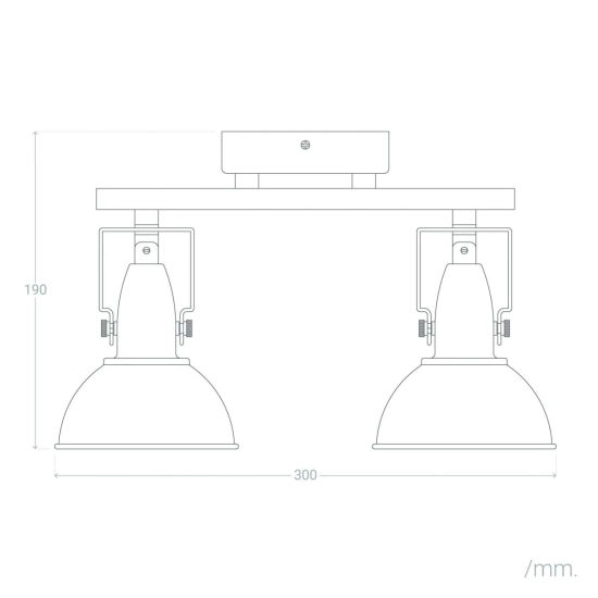 Loftowa lampa sufitowa z dwoma ruchomymi reflektorami